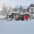 스테이변산바람꽃 이미지