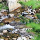 지리산나래울민박 이미지