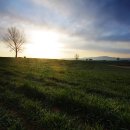 이슬목장 이미지