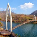 연하엽구름다리 이미지