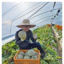 식이네농장 이미지