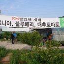 서진석농장 이미지