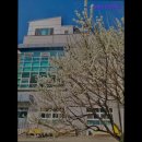 샬롬의 집 | 고양시 요양원 요양센터 추천 샬롬의집요양원 샬롬의집요양원, 어르신을 위한 최적의 선택