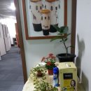 수원-0031 이미지