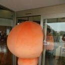 알바 이미지