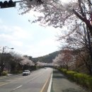 모락산 둘레길 이미지