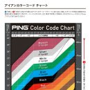 맥스Golf 이미지