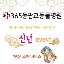 365동판교동물병원