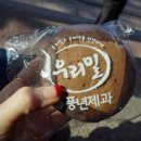 풍년목욕탕 이미지