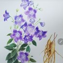 보태니컬 이미지