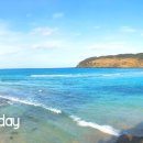 씨에세이 이미지