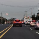 배진성마취통증의학과의원 이미지