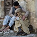 나라축사 이미지