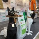 마야무역 이미지