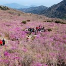 동구SK주유소 이미지