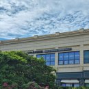 이스톤 의원 이미지