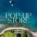 울릉이당 이미지