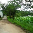 고미당마을 이미지