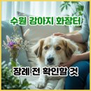 하나장례 | 수원 강아지 화장터, 반려견 장례 비용·후기 2곳