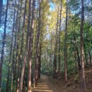 향림사 화장실 이미지