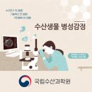 부경대학교 수산질병관리원 이미지