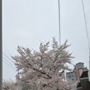 진영산복로 이미지