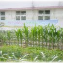 덕희학교 이미지