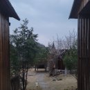 자발적 고립 | [춘천] 자발적 고립을 할 수 있는 혼여 추천 북스테이 숙소 썸원스페이지숲