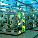 봉우공원 이미지