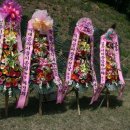 내수곡 Daum카페
