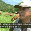 차량용 가습기를 살려고 하는데... 이미지