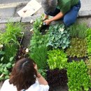 홍농종묘사 이미지