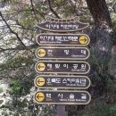 이기대어울마당 Daum카페