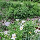 승희농장 이미지