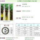 LIREV-AMESB 전선,AWG전선,PCM전선,데이터케이블 단가표 이미지