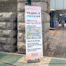 산업은행앞 인도 | 여의도 벚꽃 숨은명소 국회의사당 6번출구 국회 도서관 잔디 피크닉
