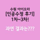 수정-42 | 수원 아이오라 [인공수정 후기] 1차~3차! 과연 결과는???