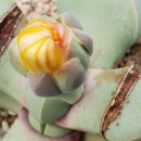 마옥농장 이미지