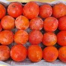 대봉한의원 이미지