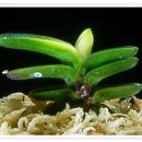 두엽농장 이미지