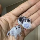 펫부머