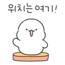 우리네흑돼지