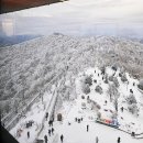 대박카프라자 | 평창 가볼만한곳｜발왕산 관광케이블카 예매 할인, 주차정보