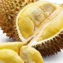 두리안 이미지