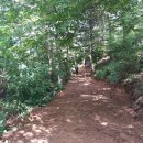 만흥농원 이미지