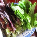 만찬농장 이미지