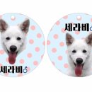 아르릉 이미지