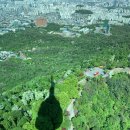 6월 서울 데이트 명소 5곳 - 종로 5가 야장부터 아늑한 공원 바이브 코스까지