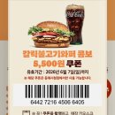 CU 동해천곡대로점 | [동해] 버거킹 동해시청점 / 신규 매장, 신규 오픈 갈릭 불고기 와퍼 내돈내산 후기