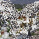 청해아구찜 이미지